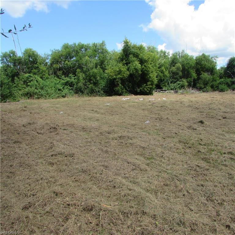 PINE ISLAND CENTER - Land