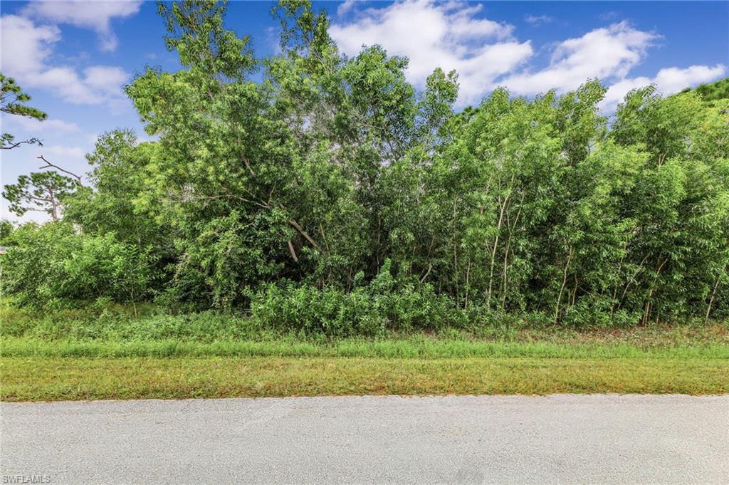 10,018-square-foot residential lot in the Northwest Cape Coral neighborhood. Located on NW 46th Street near Burnt Store Road, this spacious parcel provides room for a custom single-family home, pool, multi-car garage, and outdoor living area. Peaceful suburban setting minutes from shopping, dining, parks, and major routes to Fort Myers and the Gulf Coast. Build now or hold for future use in Southwest Florida.