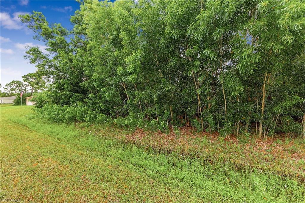 CAPE CORAL - Land