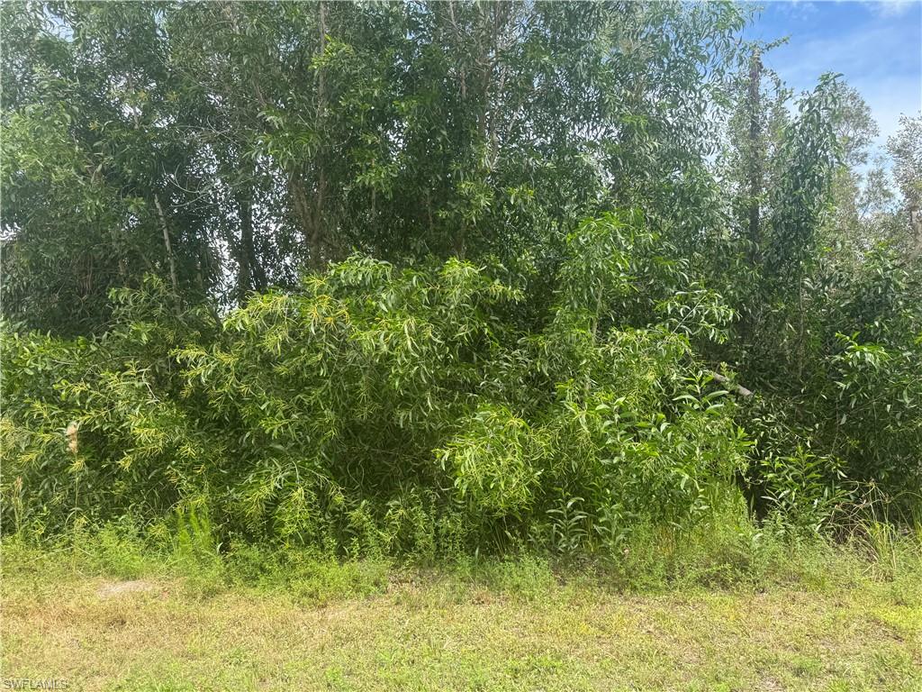 KREAMERS AVOCADO SUBD - Land