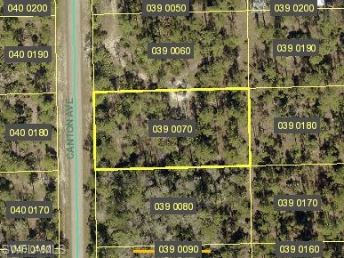 Discover an exceptional opportunity to build your dream retreat on this pristine vacant parcel nestled along a tranquil dead-end street in charming Alva. This peaceful haven offers the perfect canvas for crafting your ideal sanctuary, where serenity meets convenience in delightful harmony.

The generous lot size provides ample space for your architectural vision to flourish, whether you're envisioning a cozy cottage, expansive family compound, or luxurious estate. The quiet cul-de-sac location ensures minimal traffic while maintaining excellent connectivity to major thoroughfares, including State Road 80 and Joel Boulevard, placing urban amenities within comfortable reach.

Nature enthusiasts will appreciate the proximity to Charleston Park, offering recreational opportunities just moments from your future doorstep. The verdant landscape and mature trees surrounding the area create a naturally beautiful setting that promises both privacy and tranquility. Daily conveniences are thoughtfully accessible, with Jack's Market providing grocery essentials and quality educational opportunities available at nearby Donna J. Beasley Technical Academy.

This strategically positioned property combines the best of rural living with metropolitan accessibility. The peaceful ambiance of this dead-end location means your morning coffee will be accompanied by birdsong rather than bustling traffic, while strategic road access ensures you're never truly isolated from civilization's conveniences.

The blank slate before you presents endless possibilities for customization, from landscaping dreams to architectural aspirations. Whether you're seeking a permanent residence, vacation getaway, or investment opportunity, this property offers the flexibility to accommodate diverse objectives while maintaining its inherent value proposition.

Smart buyers recognize the increasing scarcity of well-positioned vacant land in desirable neighborhoods. This offering represents more than mere real estate; it's your chance to create something uniquely yours in a community that values both progress and preservation of natural beauty.