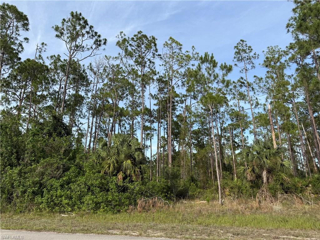 LEHIGH ACRES - Land