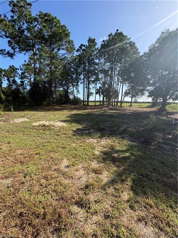 LEHIGH ACRES - Land