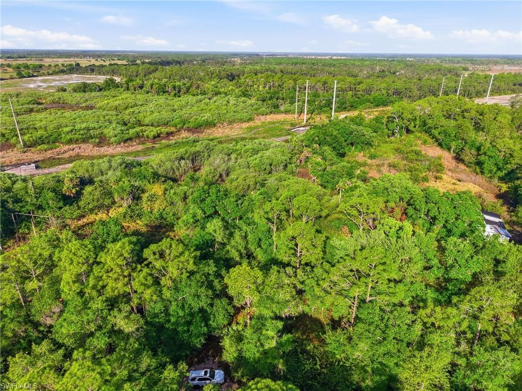 PUNTA GORDA - Land