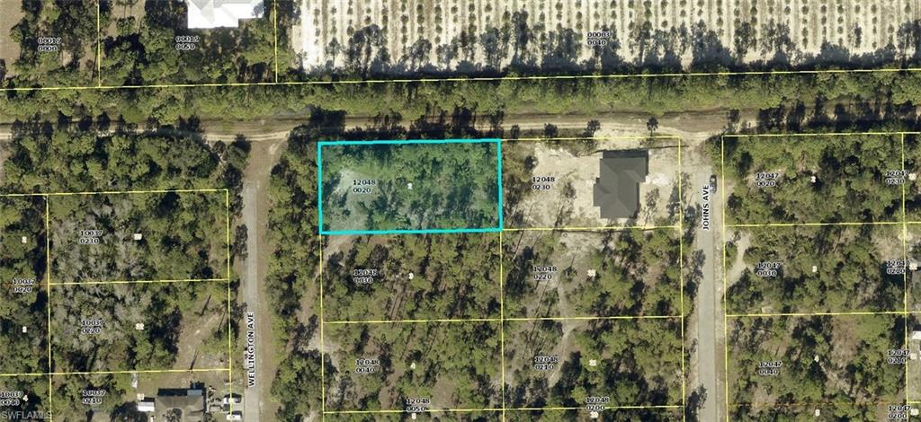 LEHIGH ACRES - Land