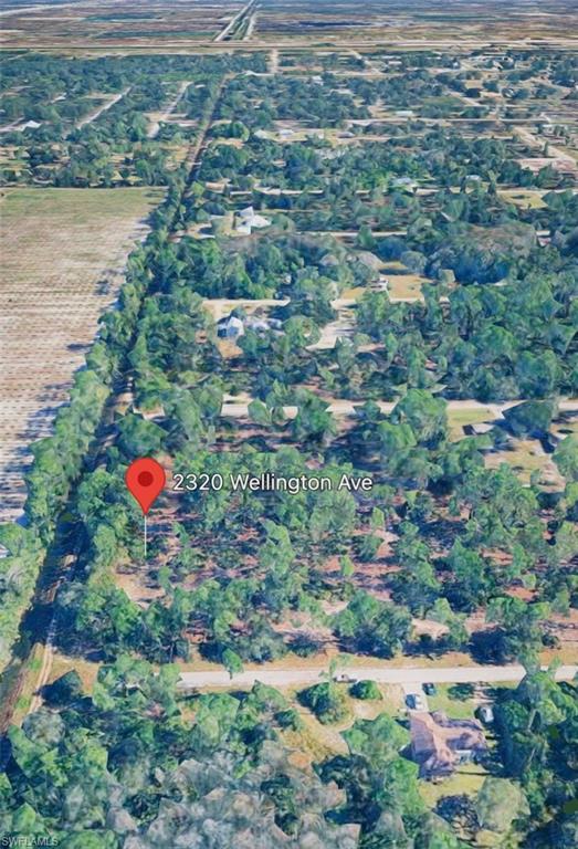 LEHIGH ACRES - Land