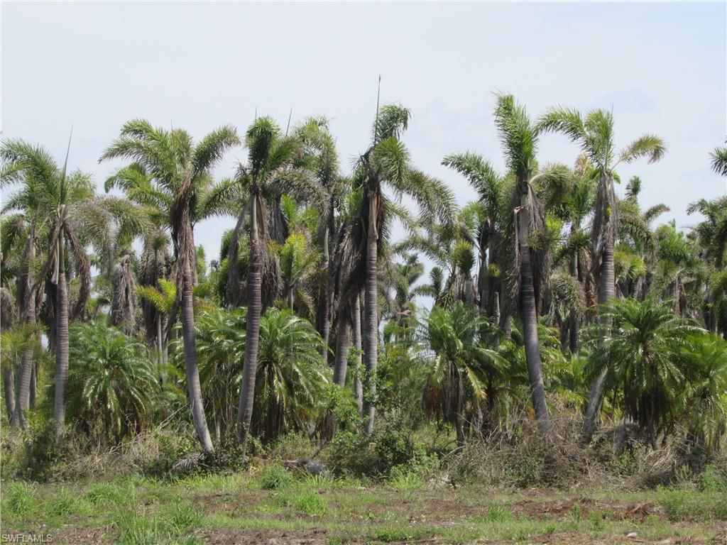KREAMERS SUBD - Land