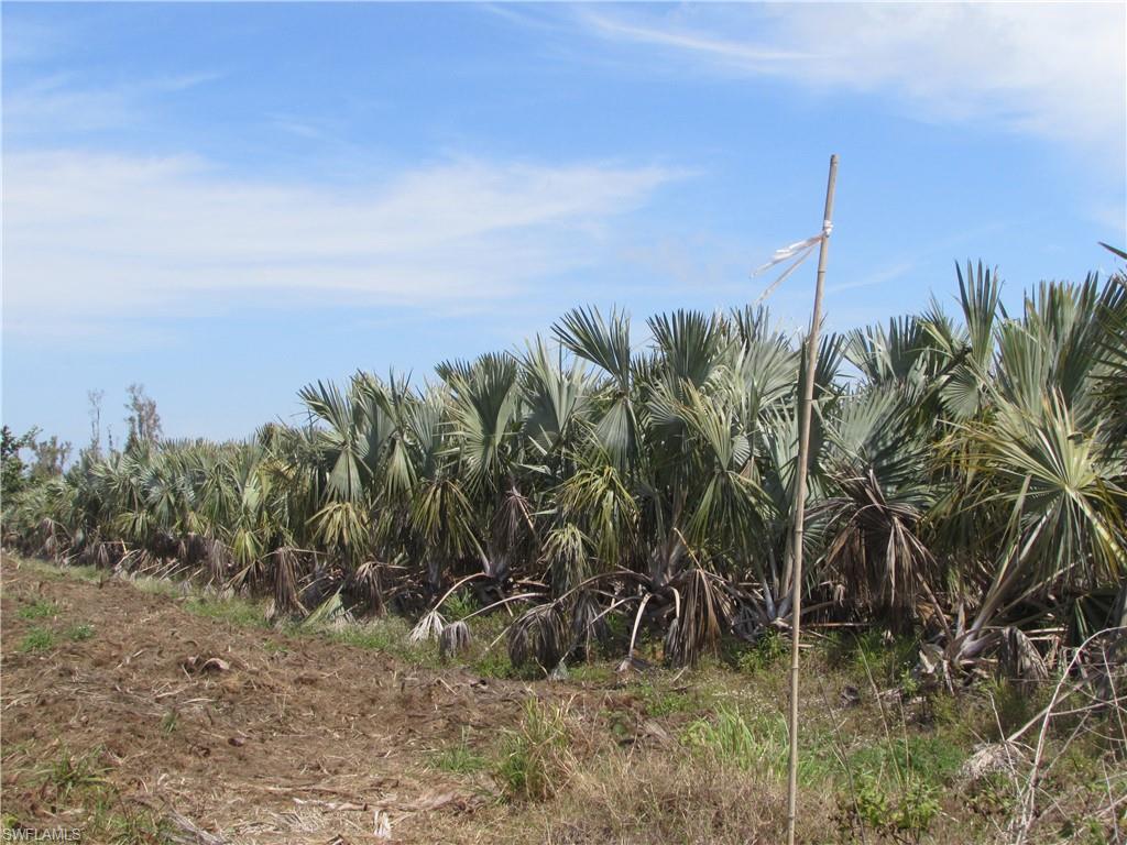 KREAMERS SUBD - Land