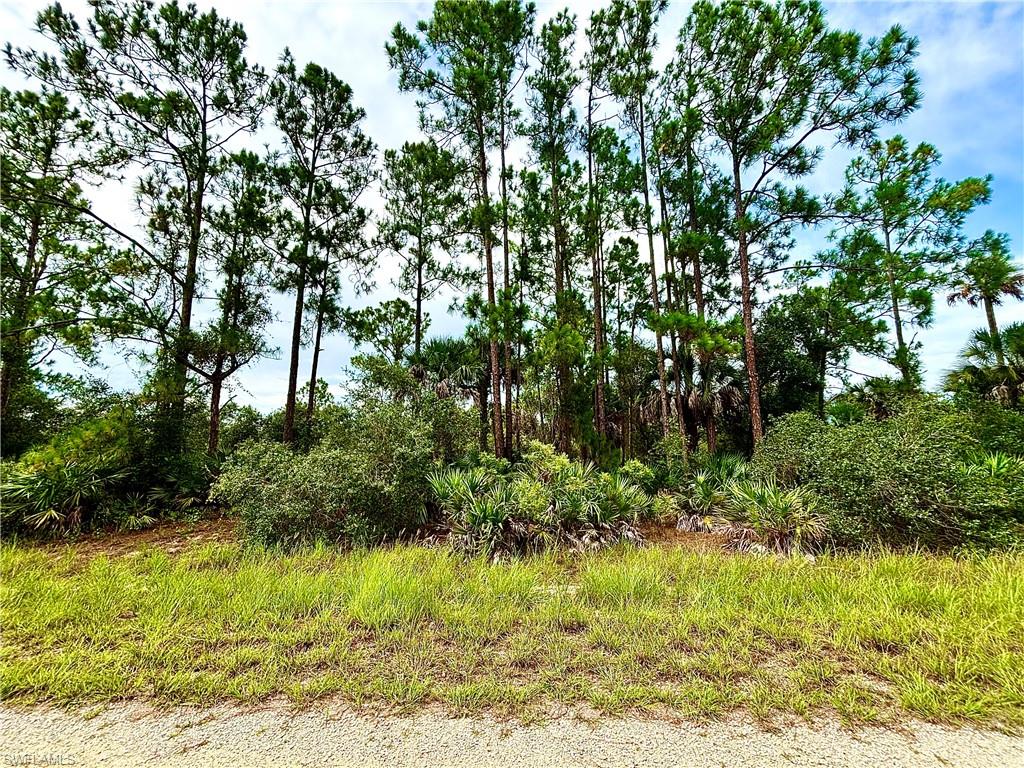 GREAT LOCATION nestled away on an OVERSIZED lot a quiet street in Alva. Just minutes from major amenities with a quick commute to Fort Myers! Come build your DREAM HOME or INVEST today.
