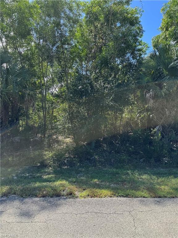 LEHIGH ACRES - Land