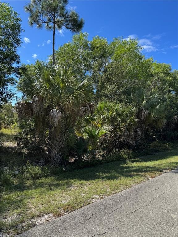 LEHIGH ACRES - Land