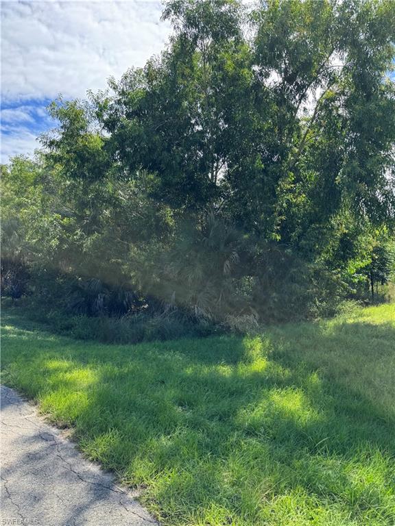 LEHIGH ACRES - Land