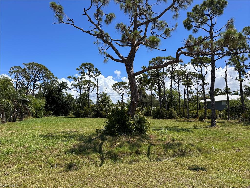 PINE ISLAND TROPICAL HOMESITES - Land