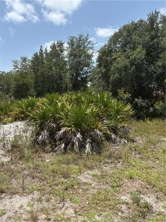 LEHIGH ACRES - Land