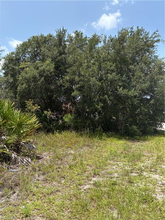 LEHIGH ACRES - Land