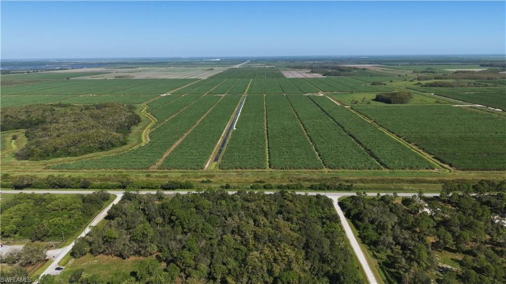 Great opportunity to own 0.95 acres of vacant land in Montura Ranch Estates!