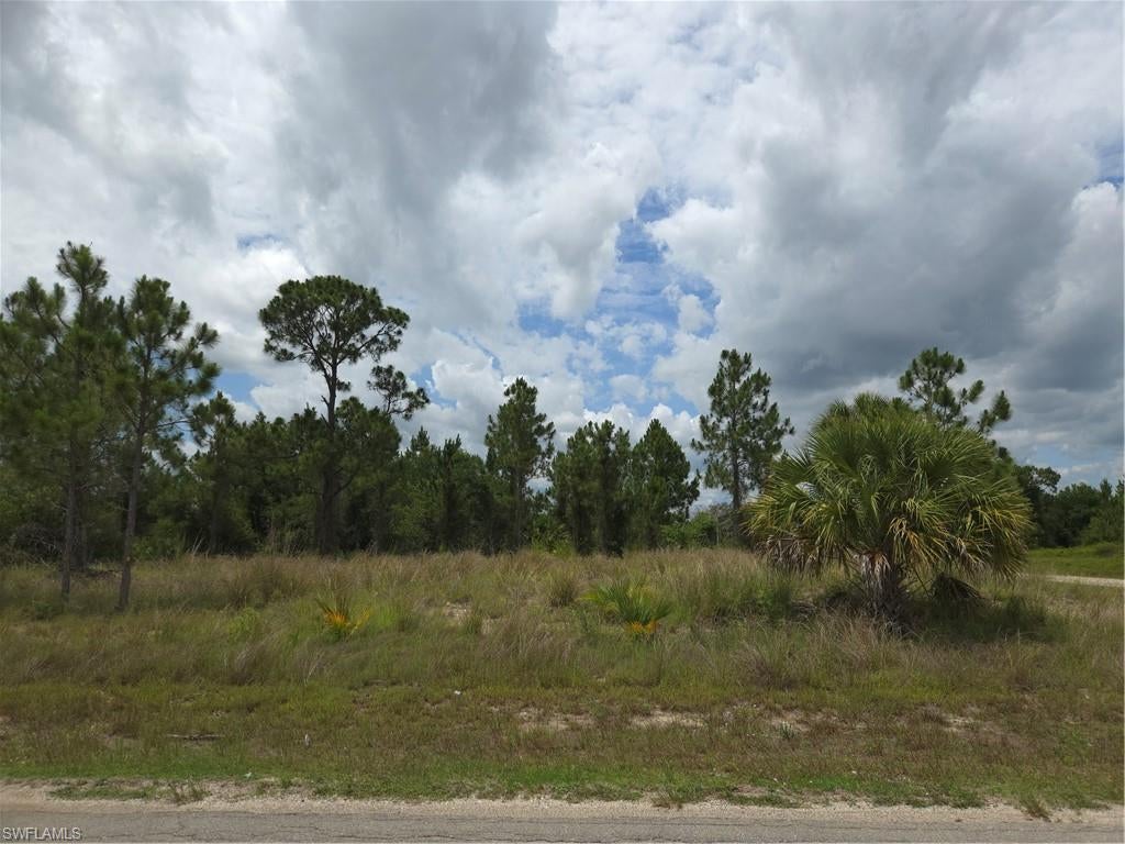 LEHIGH ACRES - Land