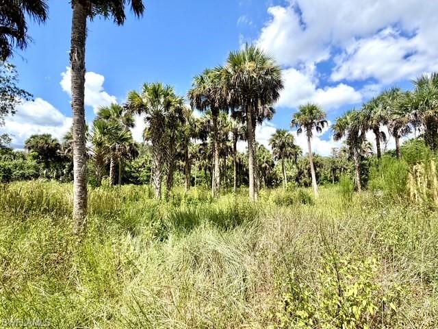 GOLDEN GATE ESTATES - Land