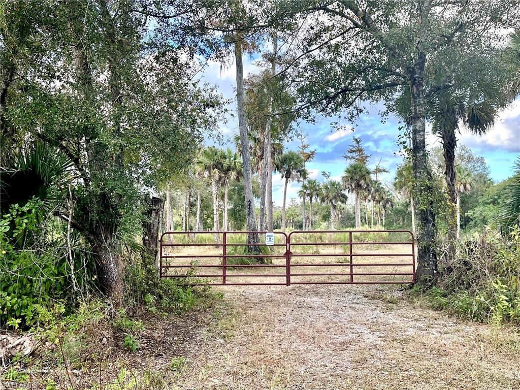 GOLDEN GATE ESTATES - Land