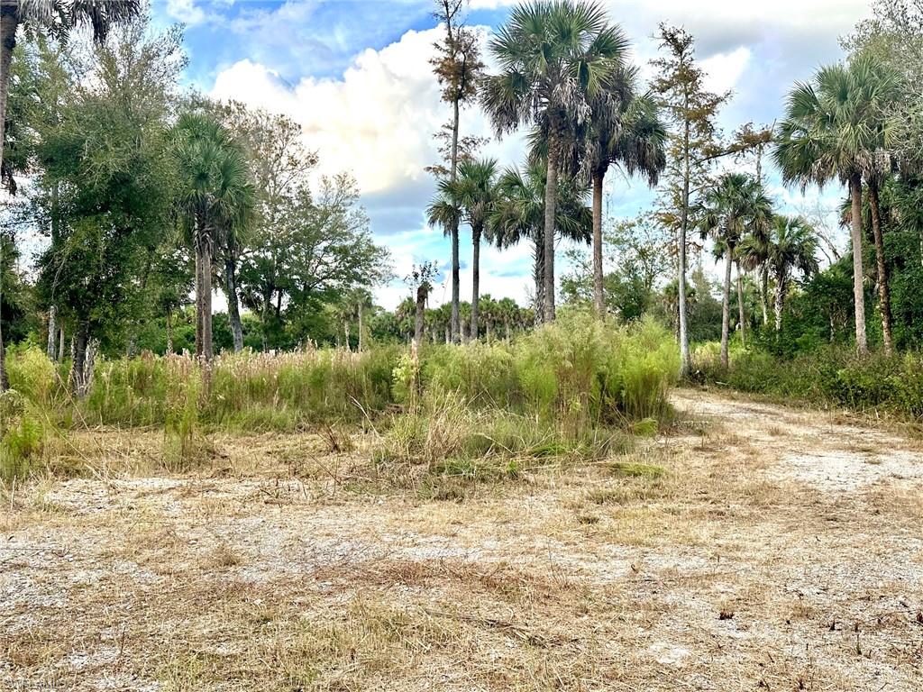 GOLDEN GATE ESTATES - Land