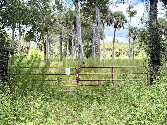 GOLDEN GATE ESTATES - Land
