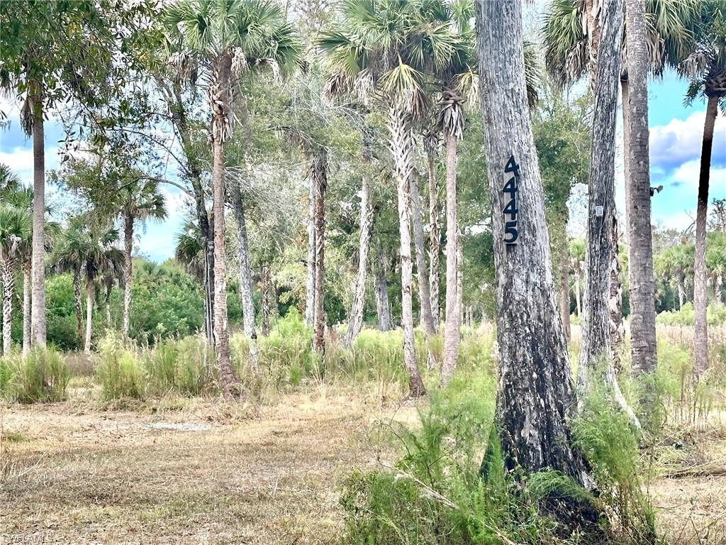 GOLDEN GATE ESTATES - Land