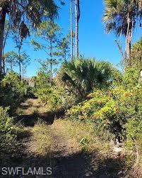 Good location for a home site or weekend get away.  Less than two hours from Ft. Lauderdale.  Agents see remarks.