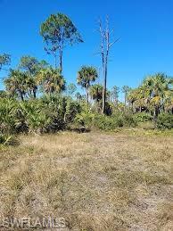 PIONEER PLANTATION - Land