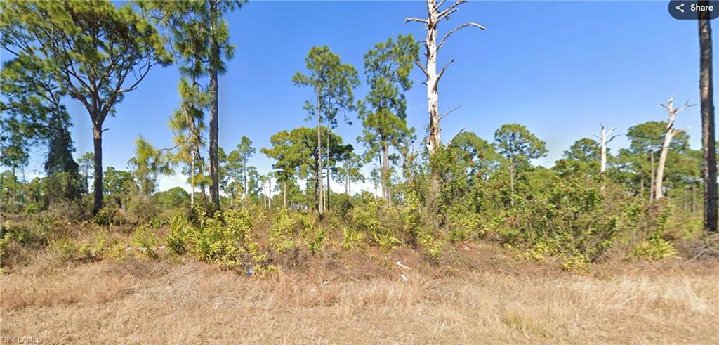 Vacant land opportunity in Lehigh Acres. Property is offered for sale with cash terms. Buyers are encouraged to perform their own due diligence regarding zoning, lot dimensions, utilities, access, environmental conditions, and building requirements.