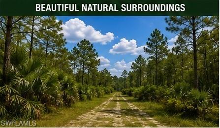 PUNTA GORDA - Land