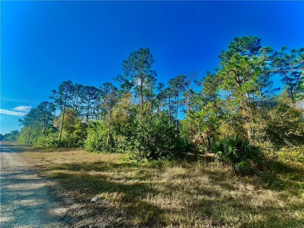 LEHIGH ACRES - Land