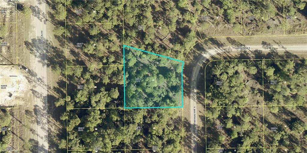 LEHIGH ACRES - Land