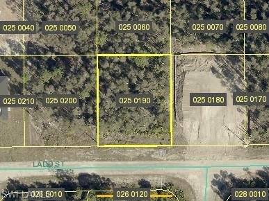 LEHIGH ACRES - Land