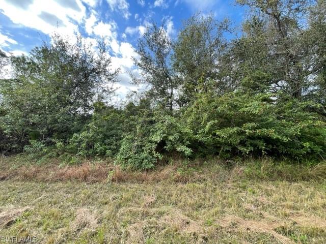 LEHIGH ACRES - Land
