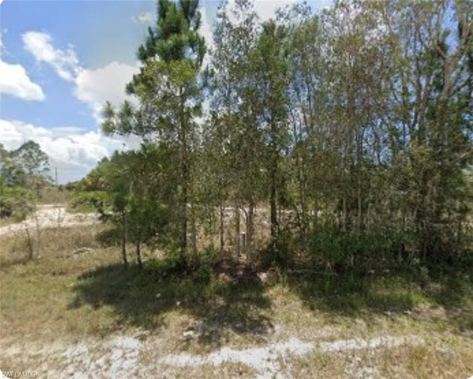 This beautiful lot offers ample space and flexibility for building your custom home. It can be splitted into 2 separate lots measuring 125/80 ft each. Enjoy the tranquility of a rural setting while being just a short drive away from essential services and entertainment options. Whether you’re looking to settle down in a new home or invest in promising real estate, this property is a fantastic choice. Don’t miss out on this exceptional opportunity!