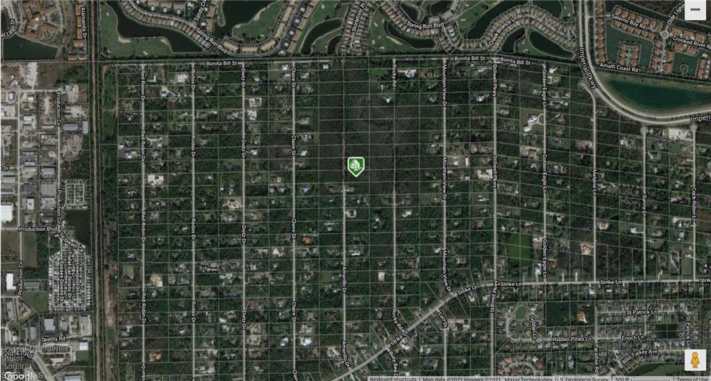 adjacent lot for sale too for a package deal, paved road ends before reach to both lots, an extension and fill are needed in order to be buildable, possible mitigation is needed, as is, buyer is due diligence, wetland is priced accordingly