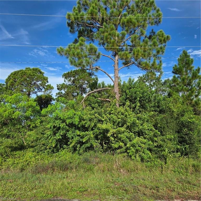 LEHIGH ACRES - Land