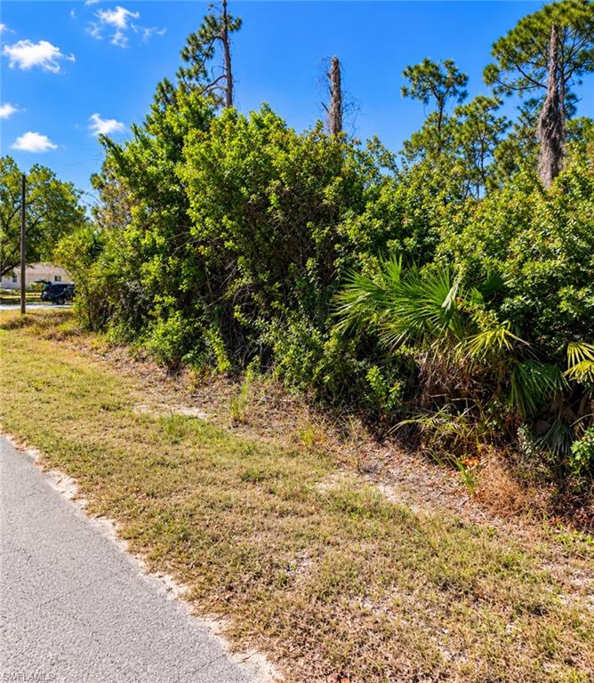 LEHIGH ACRES - Land