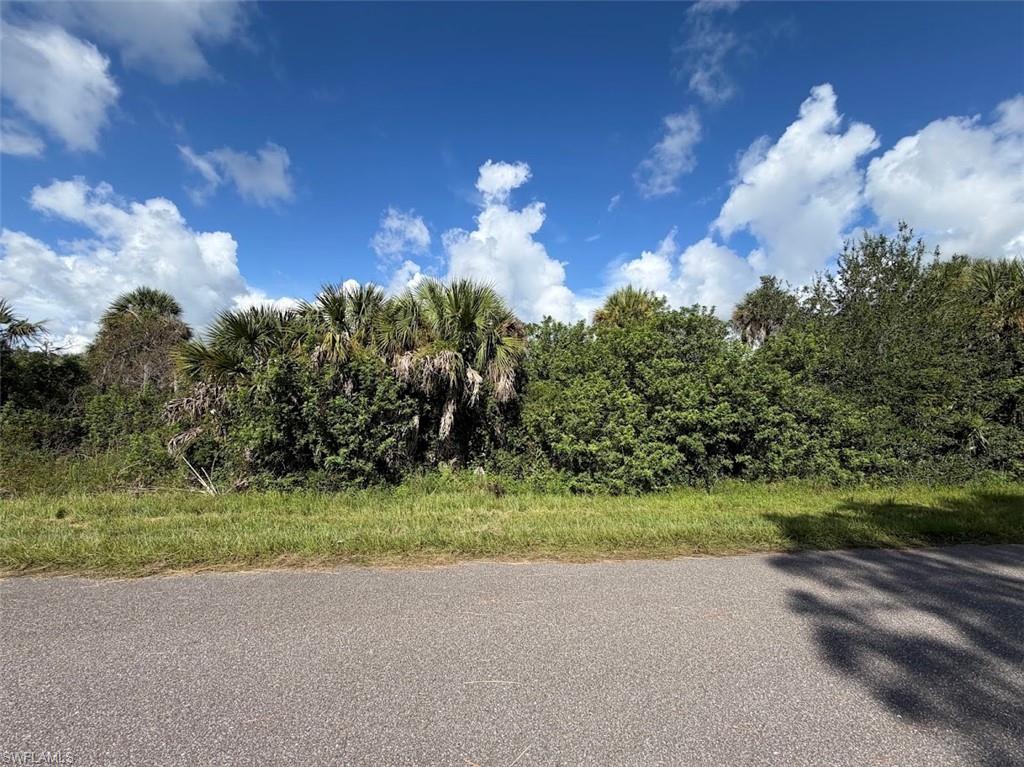 Don’t miss this rare opportunity to own two adjoining lots on the same quiet street in desirable Port Charlotte. This lot, alongside one additional parcel available separately, is located on Patton St. Perfect for builders, investors, or those looking to create a private estate, these side-by-side lots combined offer .50 acre and endless potential. Whether you're planning multiple spec homes or a spacious homestead, this is a unique chance to secure a large footprint in a growing area. Conveniently located less than 8 miles from I-75, providing easy access to surrounding areas, and just 17 miles to Chadwick Park at Englewood Beach, where you can enjoy breathtaking Gulf Coast sunsets. Everyday conveniences are just minutes away, with shopping and dining only 4 miles from Cocoplum Village Shops. Enjoy the Florida lifestyle with nearby golf courses, world-class boating, and fishing, plus multiple MLB spring training facilities within a short drive, including the Tampa Bay Rays and several other teams within an hour. Opportunities like this don’t come often—secure both lots today at an attractive price point.