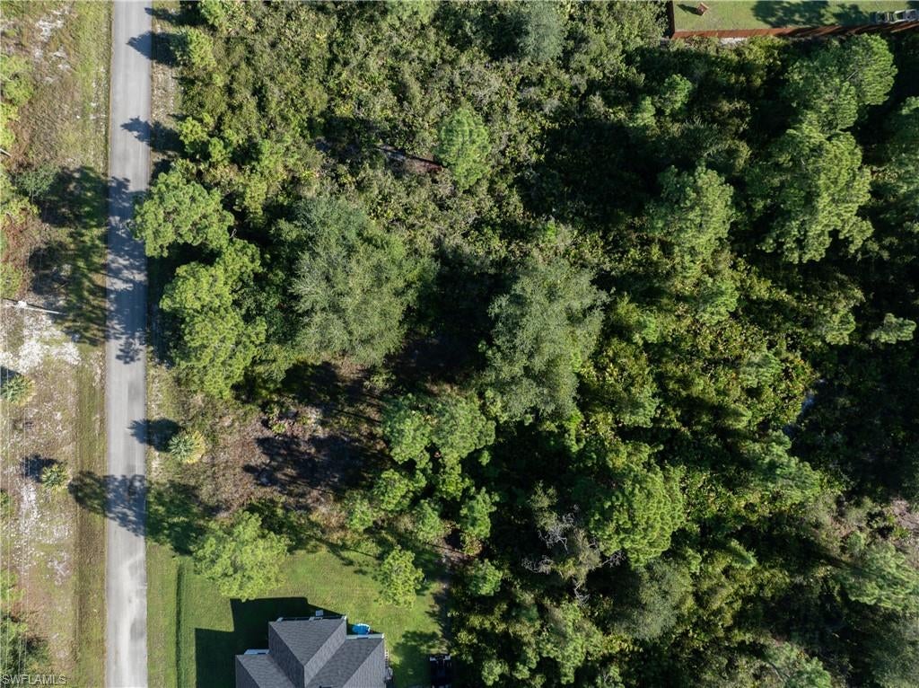 LEHIGH ACRES - Land