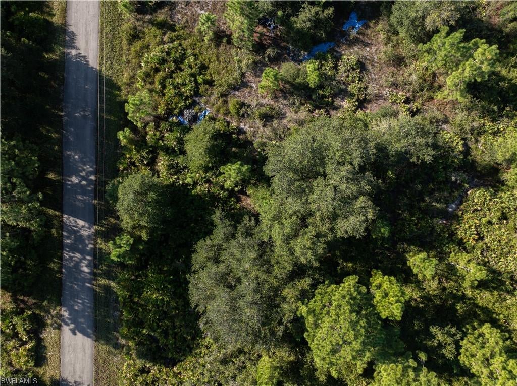 LEHIGH ACRES - Land