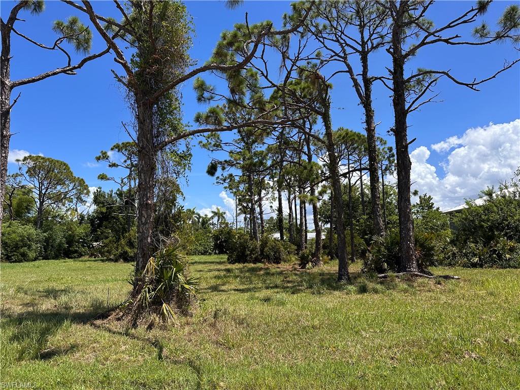 PINE ISLAND TROPICAL HOMESITES - Land