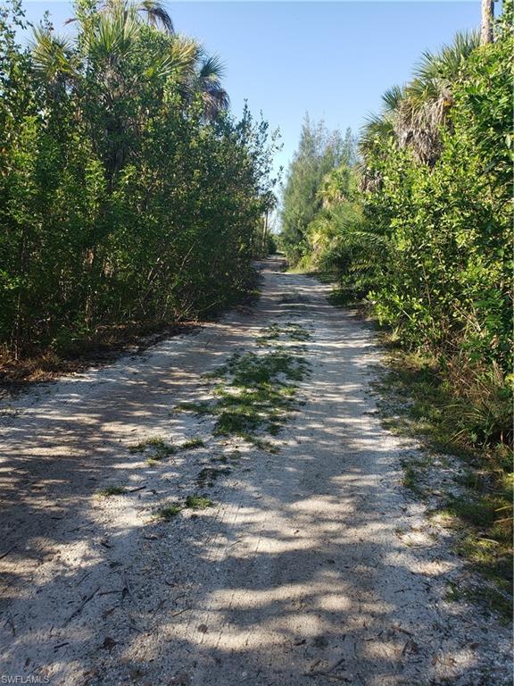 Imagine your private santuary! Attention, Nature conservators, Land Bankers, Land mitigation asset comptrollers. 17+ Pristine Virgin  Pine Island acres near open water on offer for your consideration.(in the Master's Landing vicinity) Address not yet determined Approximate measurement is as follows: 1357x573x1367x573