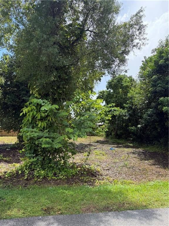 PALMONA PARK - Land