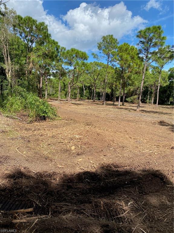 PINE ISLAND - Land