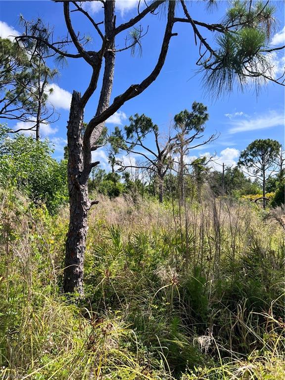 PINE ISLAND - Land