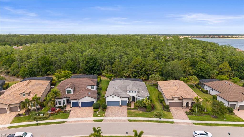 CORKSCREW SHORES - Residential