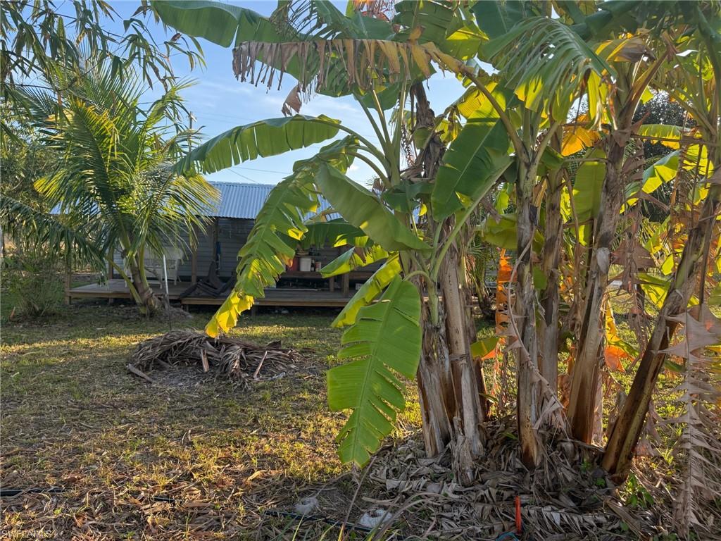Beautifully maintained 13.34 +/- acre bamboo farm and weekend getaway in private, agricultural area. Approximately 5 acres planted with 2,000+/- bamboo plants. The property includes a camper, tiki bar, deck, air conditioned shed (with finished interior), and multiple varieties of tropical fruit. This property is zoned Ag-2, which also allows residential use. The canal at the south end of the property is available for irrigation and serves as a natural border to the property. Besides citrus, there are many small farms in the area growing row crops and tropical fruit (lychee, mango, dragon fruit, passion fruit, etc.). Approximately 1 hour from RSW, and 45 minutes from I-75 via SR 29 in Immokalee or SR 80 in Fort Myers. Property is in the Gerber Water District and subject to the Water District tax which is collected by the Hendry County Tax Collector and is used to maintain the roads, canals, and employ security. The roads are private and monitored by a security guard to prevent trespassing.