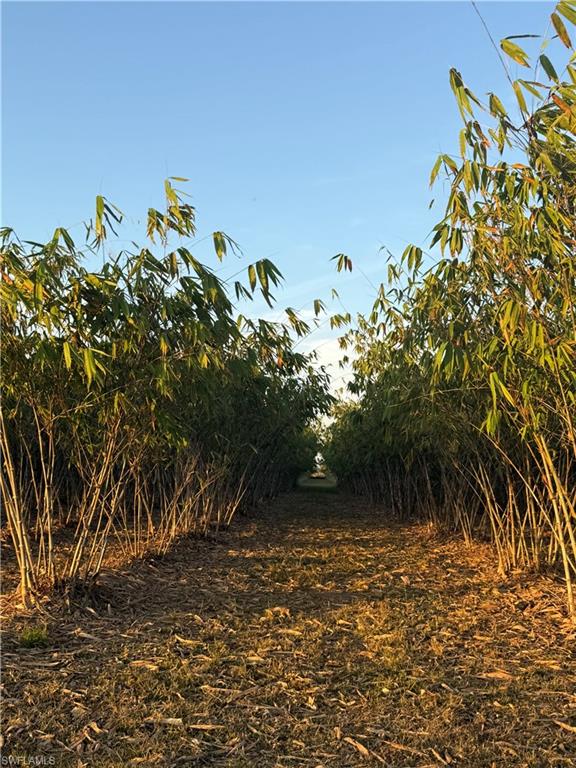 GERBER GROVES SEC 1 - Land