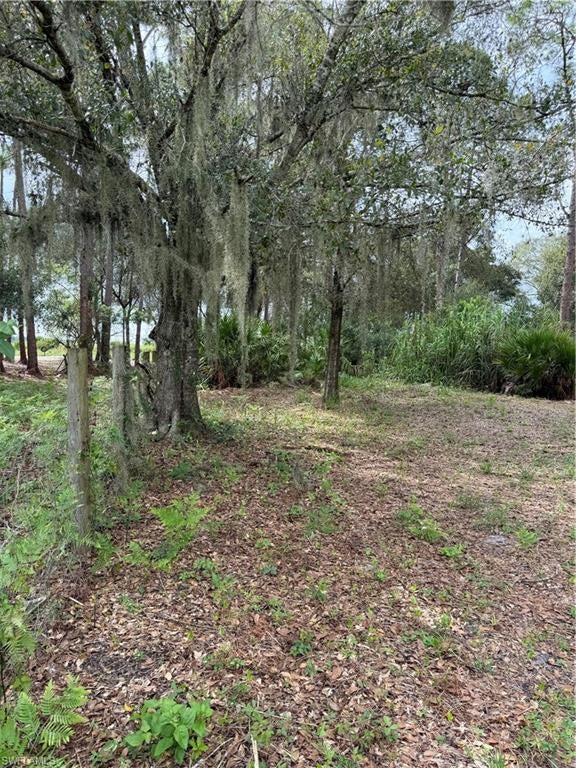 Seller Motivated and interested in right buyer!
If you're looking for space, privacy, and the freedom to create your own piece of the country, this 1.13-acre parcel in Montura Ranch Estates is a great opportunity to make that vision a reality! Conveniently located near Woodlands Blvd and the Flaghole entrance, this property offers a peaceful rural setting while still being close to the conveniences you need.

The property already has a filled entryway and culvert in place, giving you a head start on preparing the property. It was previously cleared and is currently a little overgrown, but the seller is offering assistance with closing costs to help with the property's cleanup and preparation. Parcel also has prior title insurance! 

Best of all, this parcel is not in a flood zone and has no wetlands, making it an attractive opportunity for those looking for affordable acreage with room to spread out. Whether you're dreaming of building your country home, creating a weekend getaway, or simply having a place where you can enjoy a little more elbow room, this property is ready for your ideas.

Montura Ranch Estates continues to grow while maintaining its laid-back country charm. Residents enjoy access to the Montura clubhouse, pool and picnic area, plus convenient local amenities including a grocery store, café, clothing store, gas station, post office boxes and a recently opened medical clinic.

Located approximately 20 minutes from Clewiston, with Sebring, Fort Myers and Fort Lauderdale within easy driving distance, you can enjoy the best of both worlds—peaceful country living without feeling completely removed from everything.

Come see what you can create here! Drive by and take a look, or call today to schedule your private showing.